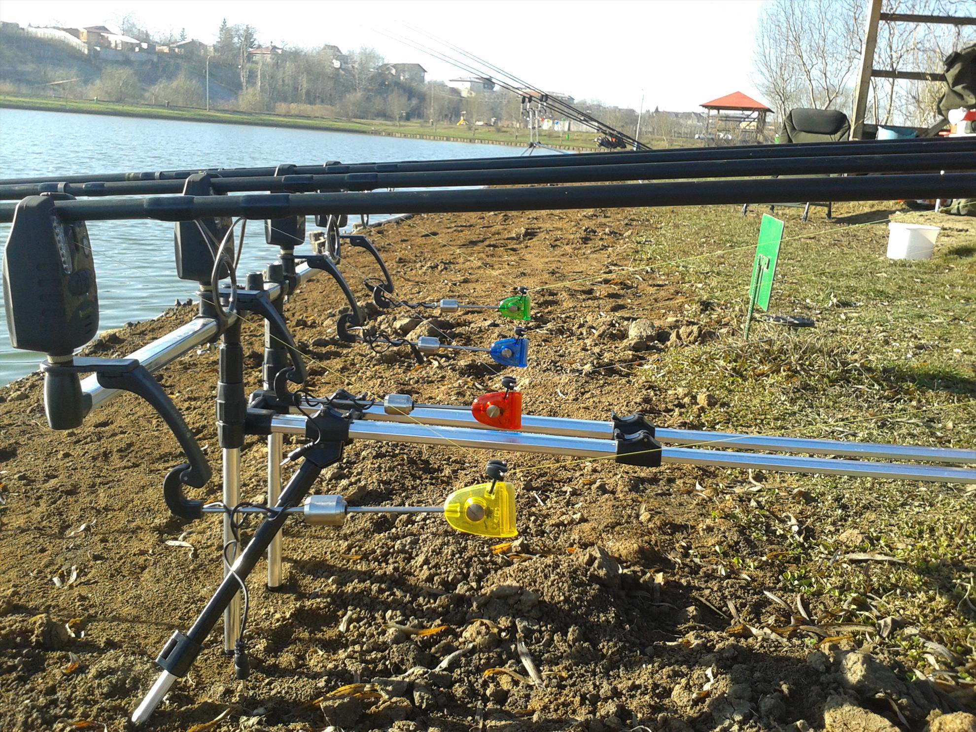 Florea Popestiului 11.01.2014 - 20140111110017.jpg